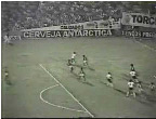 Campeonato brasileiro